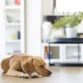 What Do Air Filters Do Best? Expert Tips You Need Today