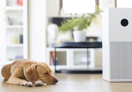 What Do Air Filters Do Best? Expert Tips You Need Today