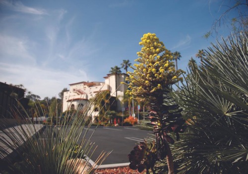 Top Private Schools in Brentwood CA